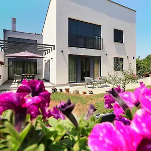 Papillon I Dolce Tar-Vabriga